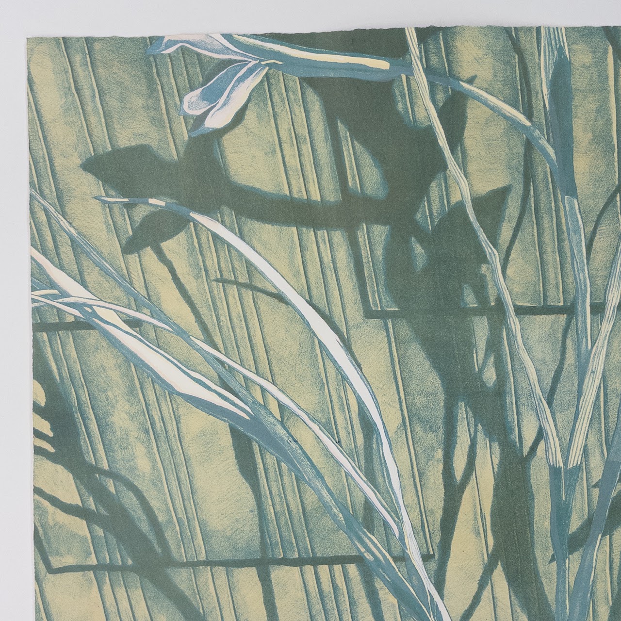 Jane E. Goldman 'Back Porch Reflections #5' Signed Lithograph