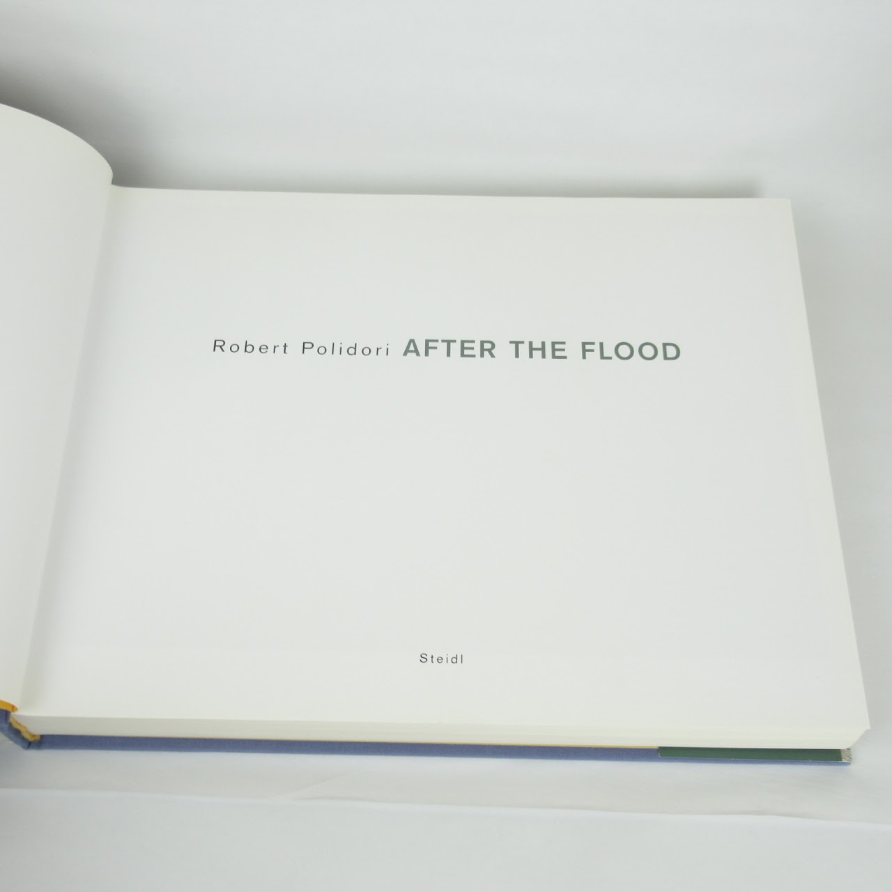 Robert Polidori "After The Flood" Book