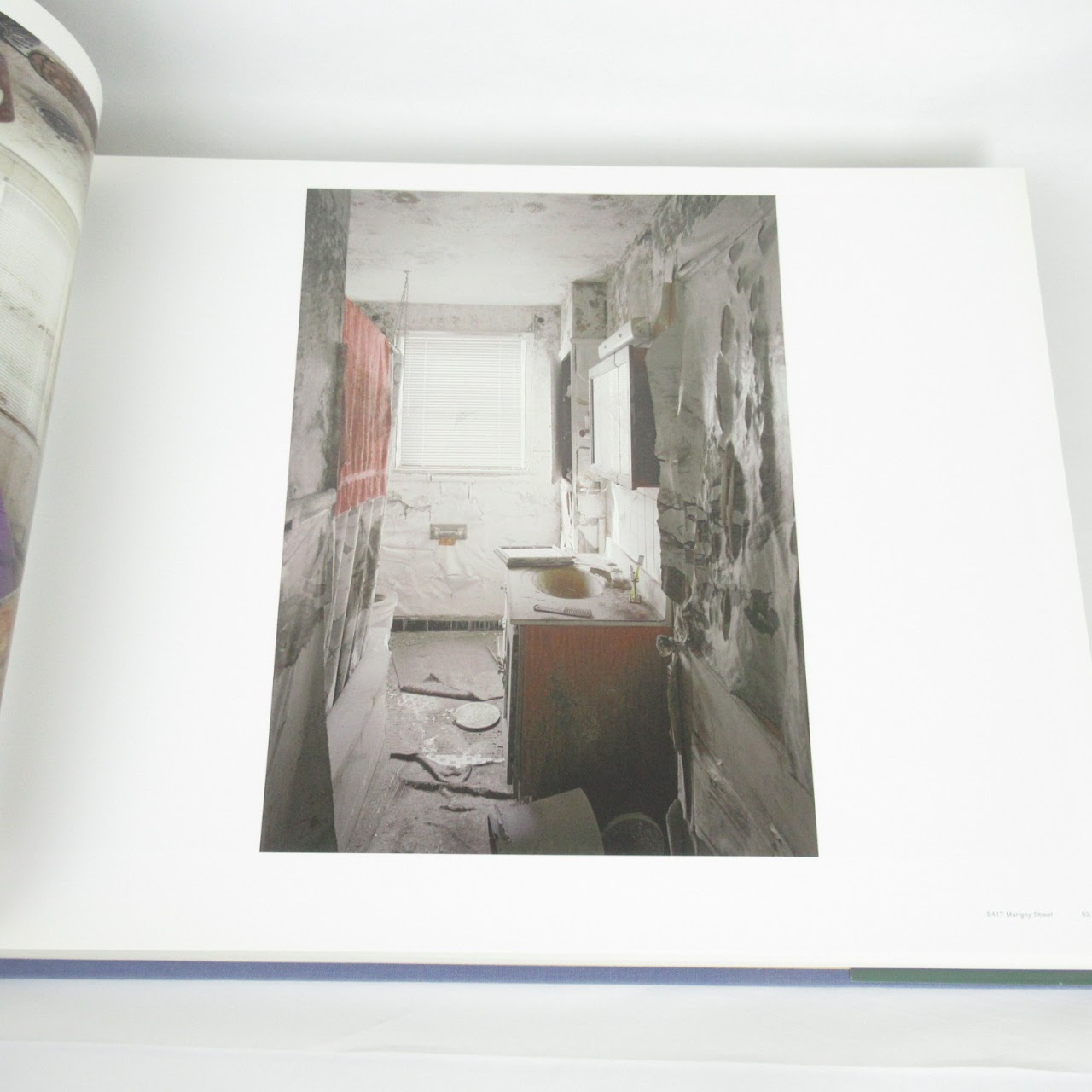 Robert Polidori "After The Flood" Book