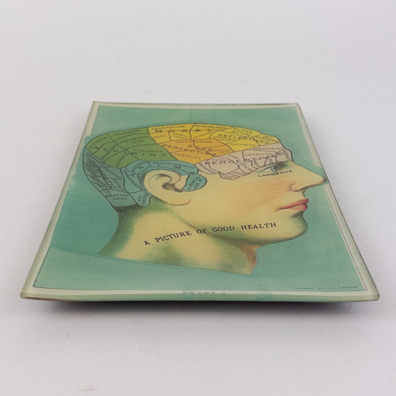 John Derian 'A Picture of Good Health' Small Glass Tray