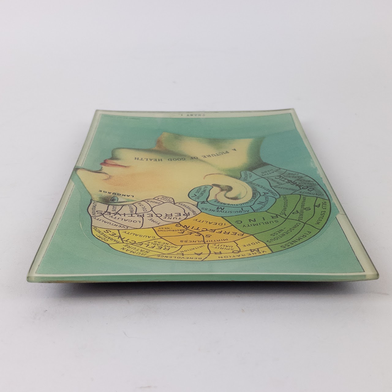 John Derian 'A Picture of Good Health' Small Glass Tray