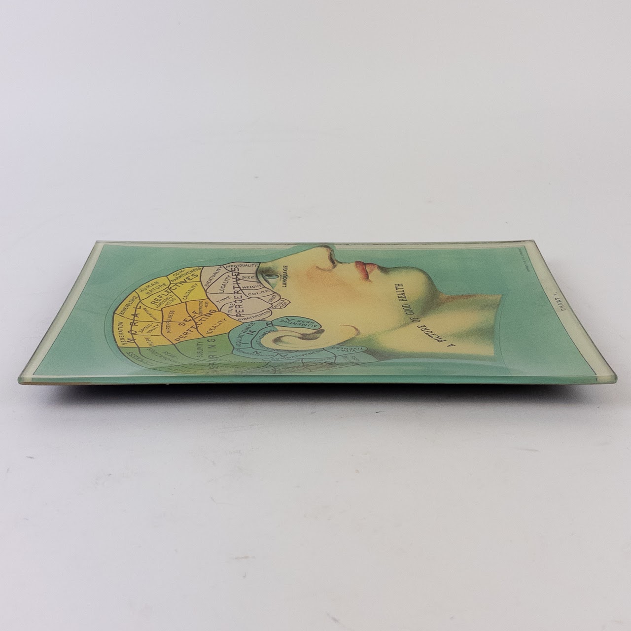 John Derian 'A Picture of Good Health' Small Glass Tray