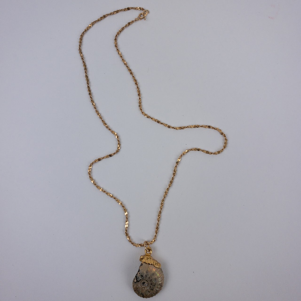 14K Gold Seashell Fossil Necklace