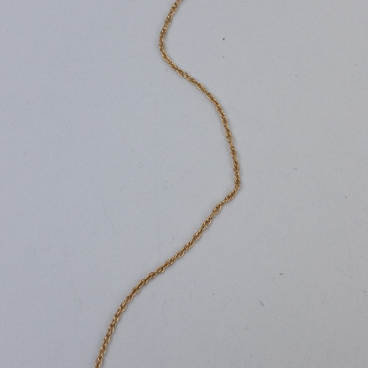 14K Gold Rope Chain Necklace