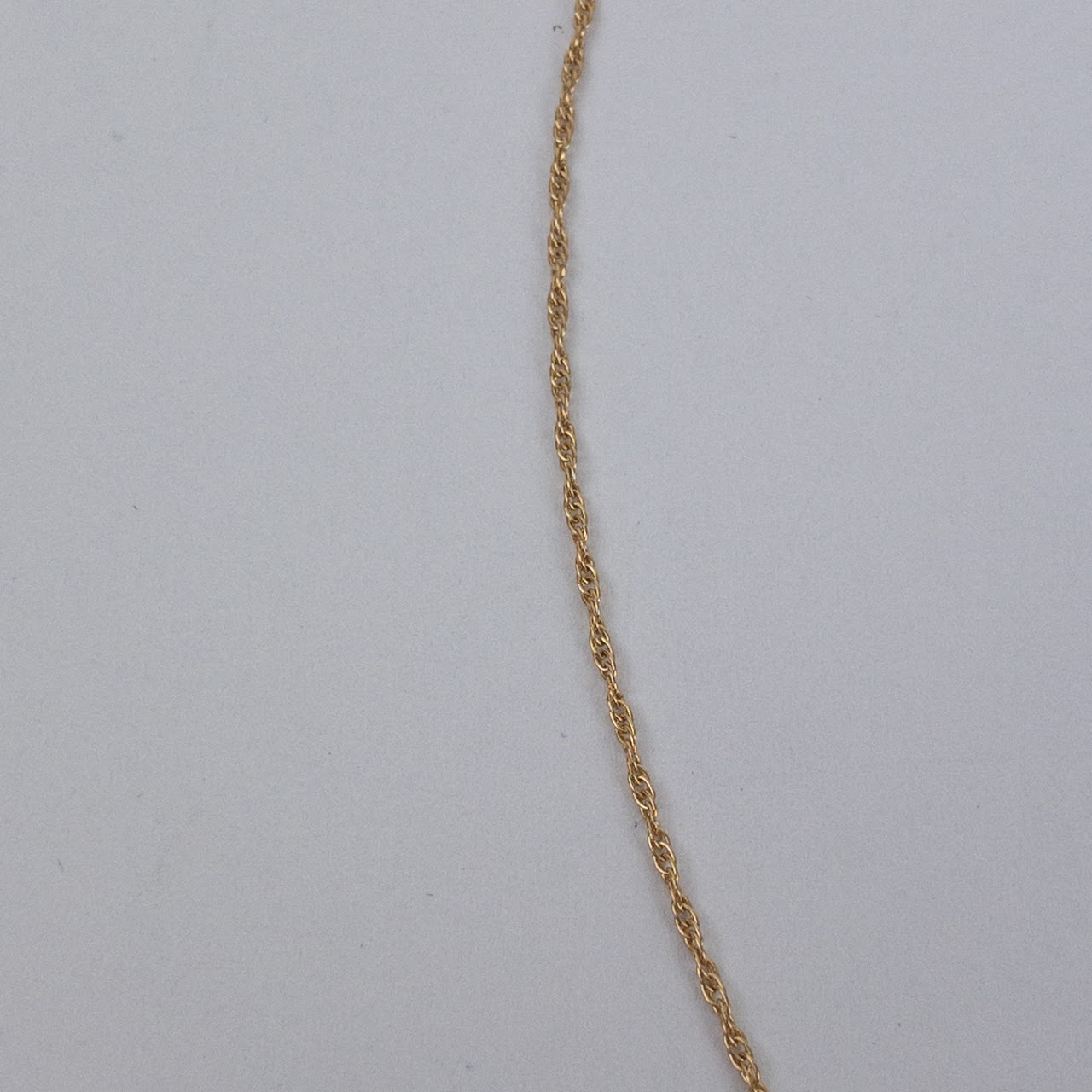 14K Gold Rope Chain Necklace