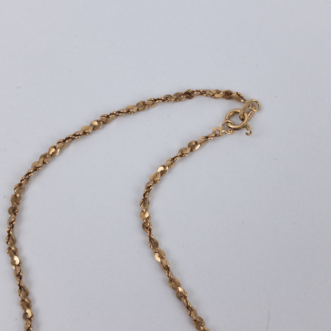 14K Gold Seashell Fossil Necklace