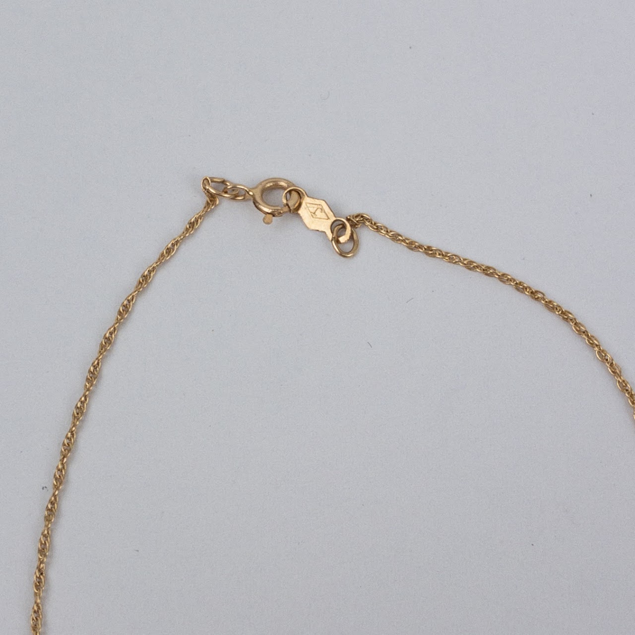 14K Gold Rope Chain Necklace