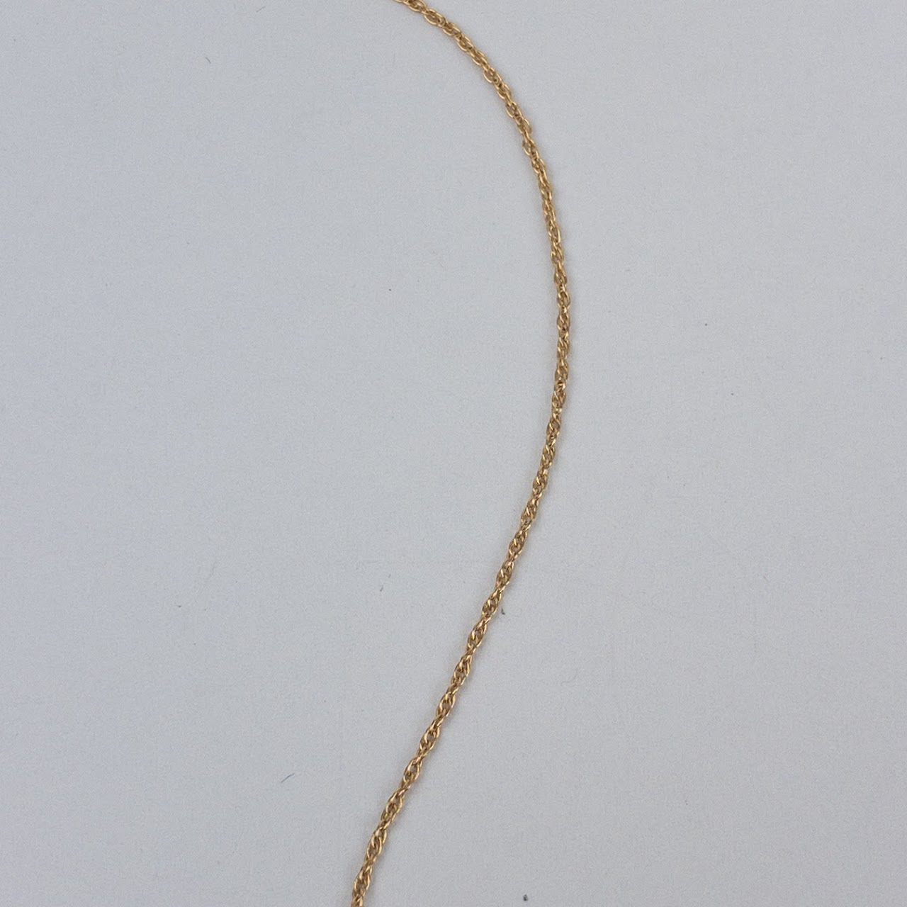 14K Gold Rope Chain Necklace