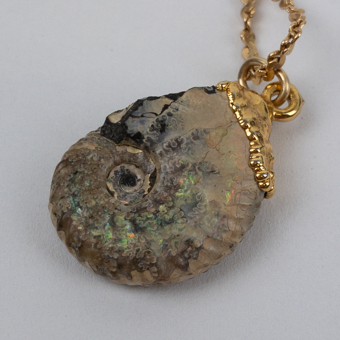 14K Gold Seashell Fossil Necklace