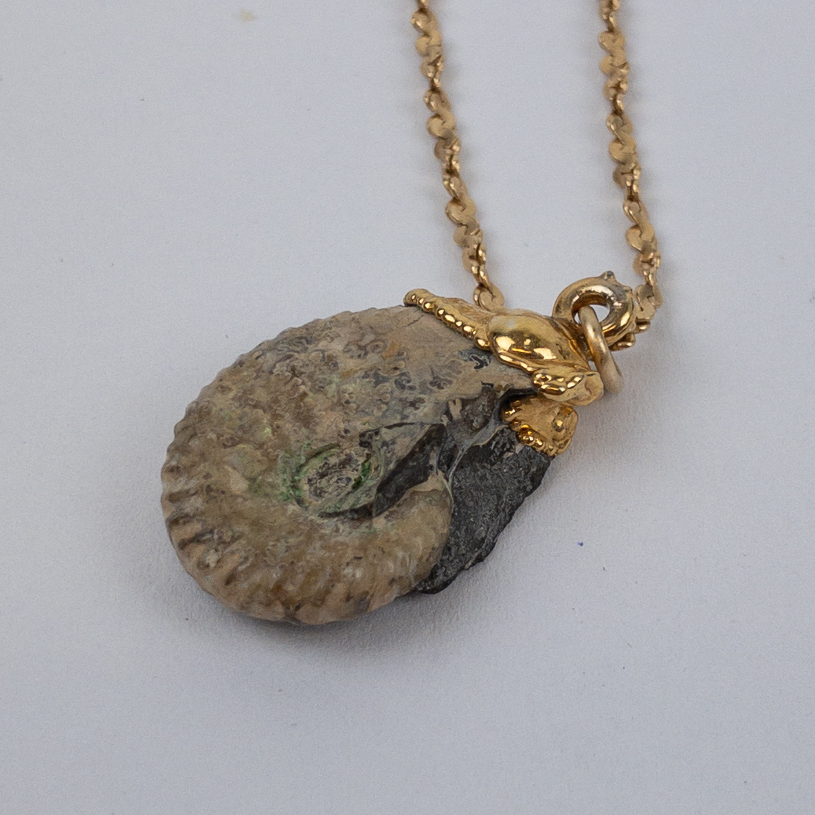 14K Gold Seashell Fossil Necklace