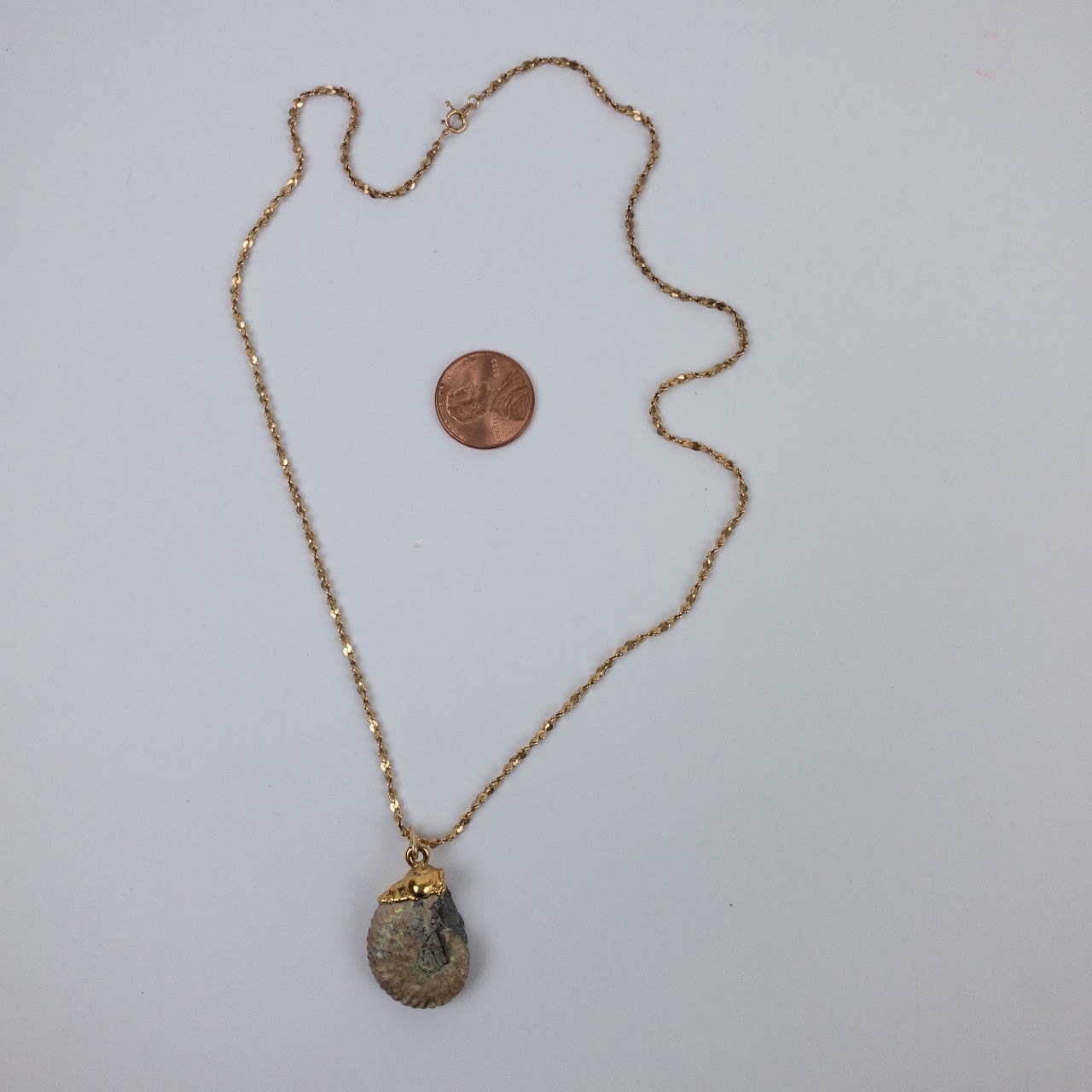 14K Gold Seashell Fossil Necklace