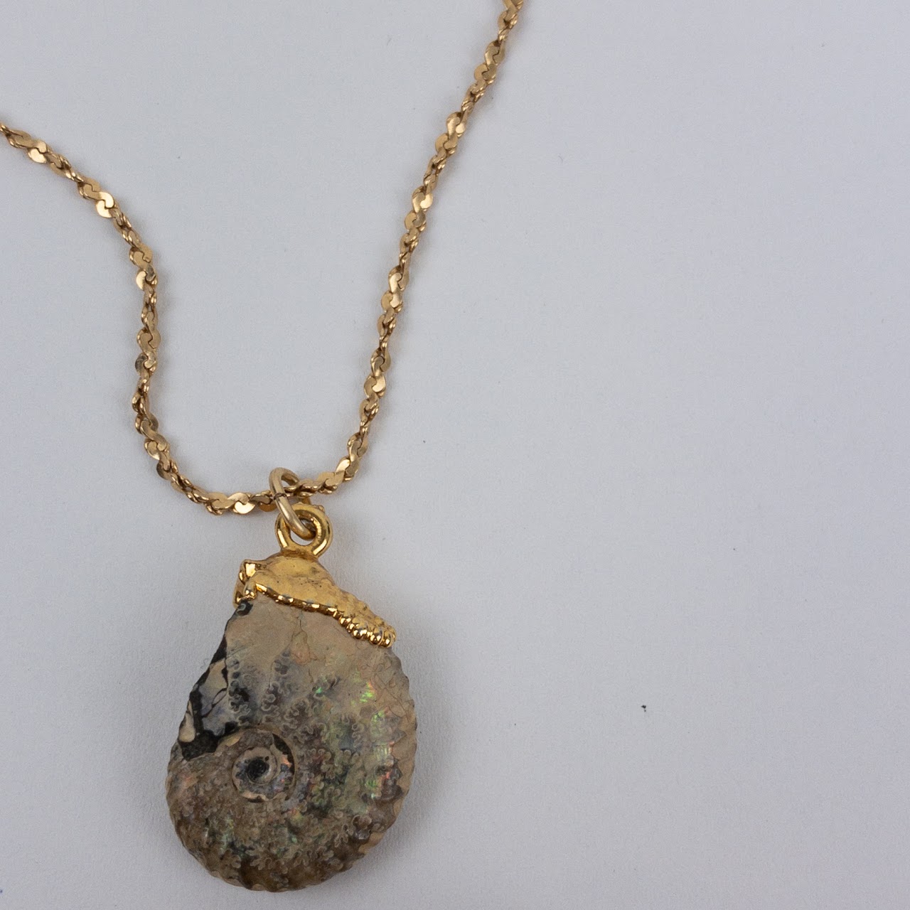 14K Gold Seashell Fossil Necklace