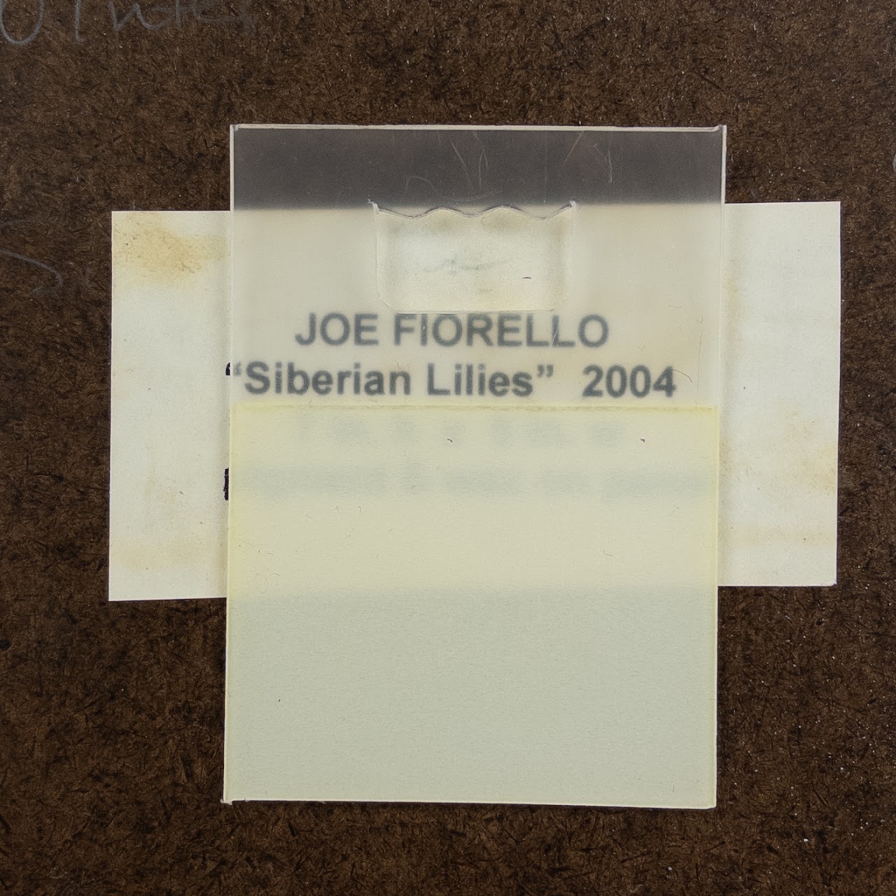 Joe Fiorello "Siberian Lilies" Encaustic on Board