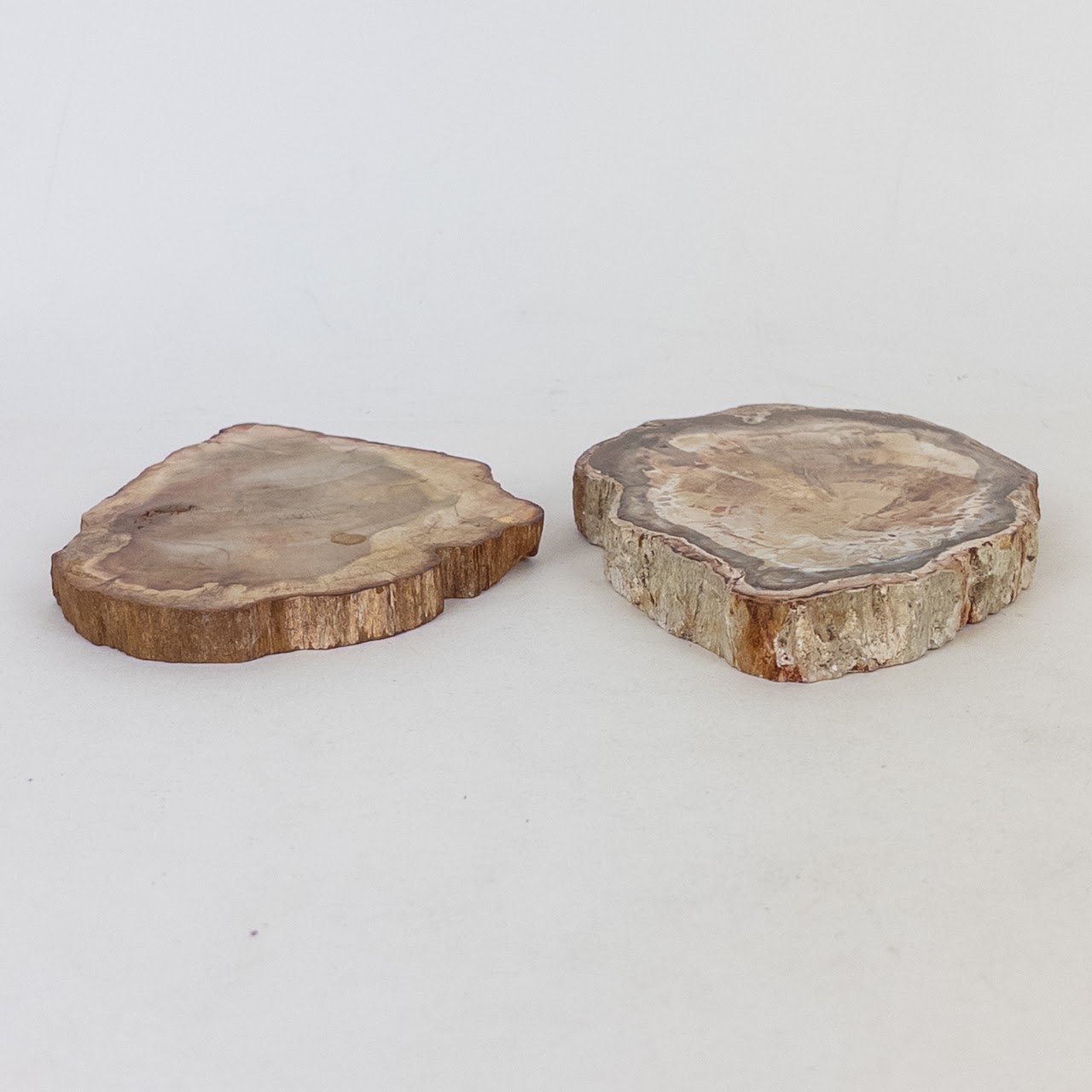 Petrified Wood Slab Trio