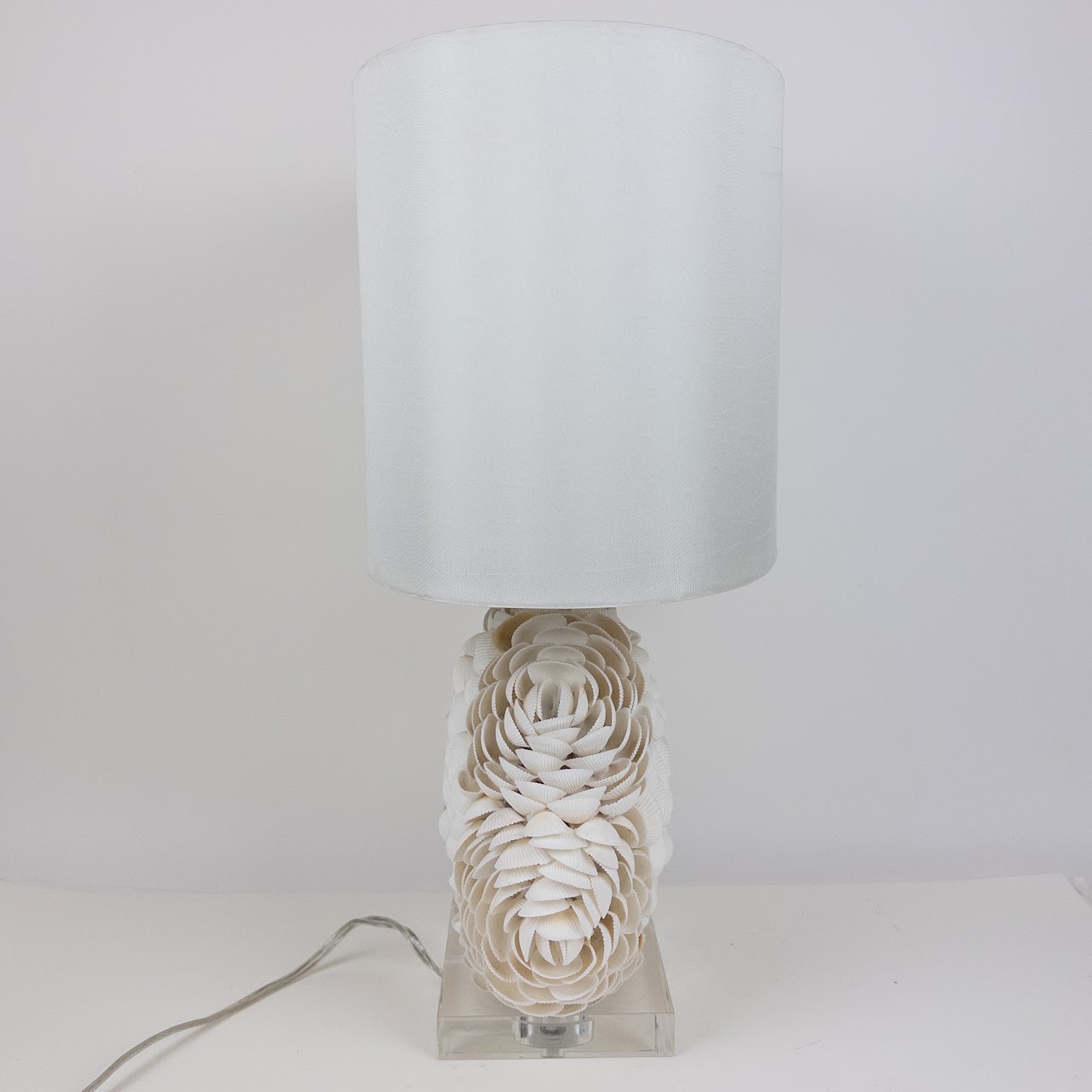 Shell Table Lamp on Acrylic Base