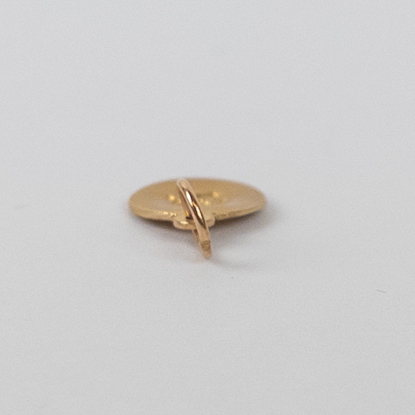 14K Gold Dog Paw Print Pendant