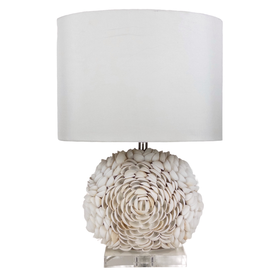 Shell Table Lamp on Acrylic Base