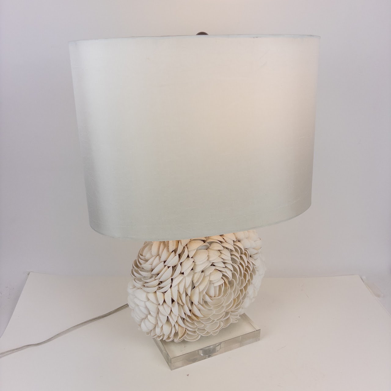 Shell Table Lamp on Acrylic Base