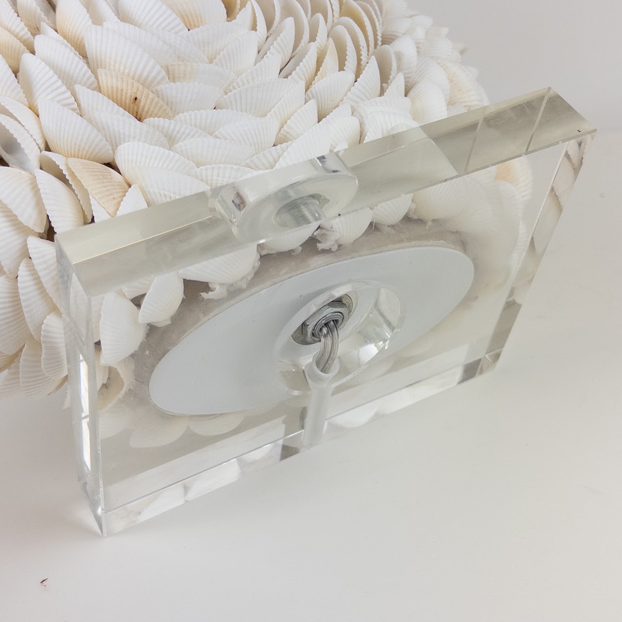 Shell Table Lamp on Acrylic Base