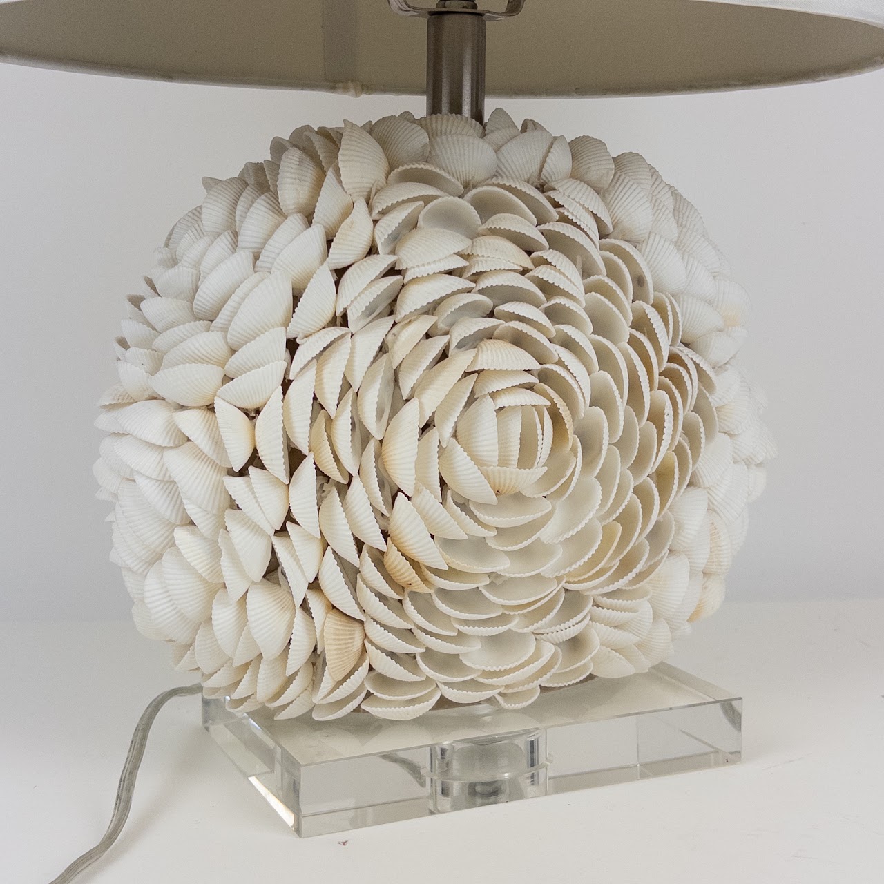 Shell Table Lamp on Acrylic Base