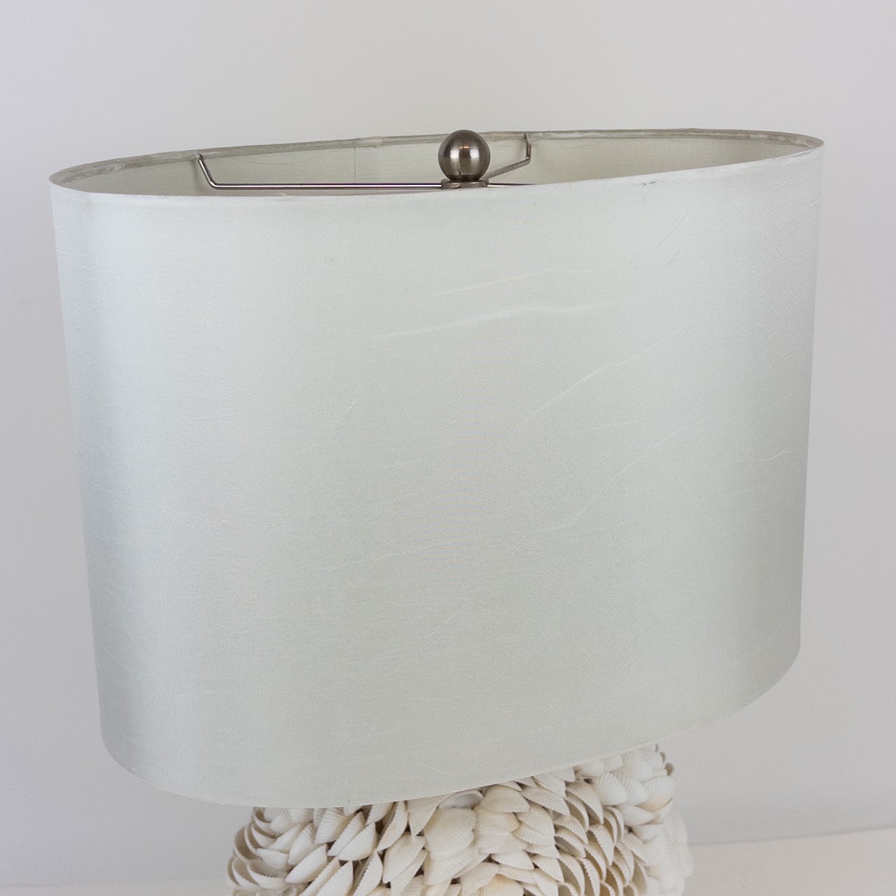 Shell Table Lamp on Acrylic Base