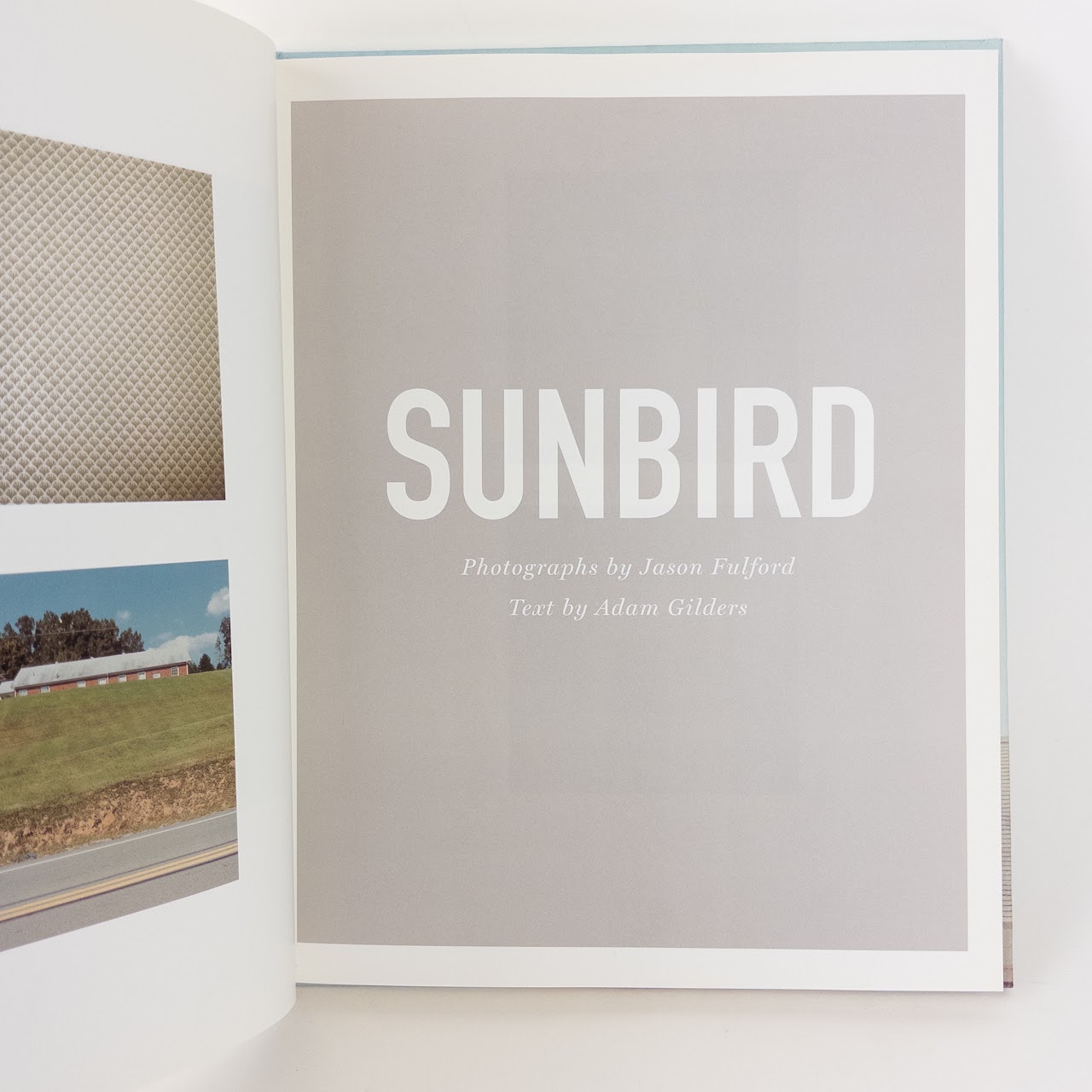 Jason Fulford, 'Sunbird' Photo Essay Hardcover