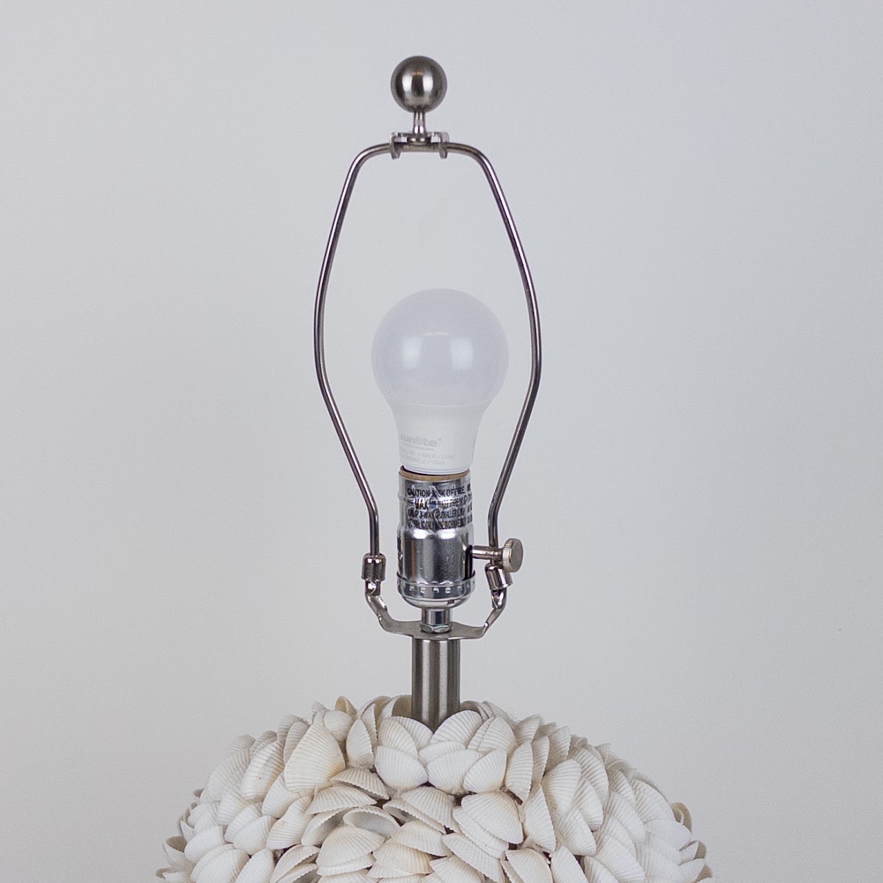 Shell Table Lamp on Acrylic Base