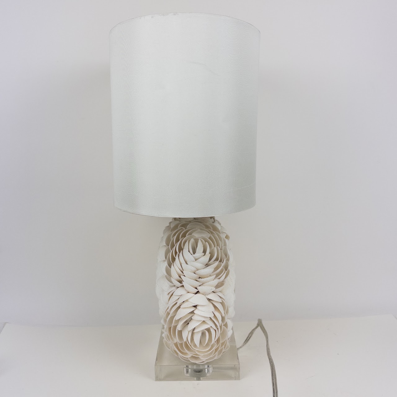 Shell Table Lamp on Acrylic Base