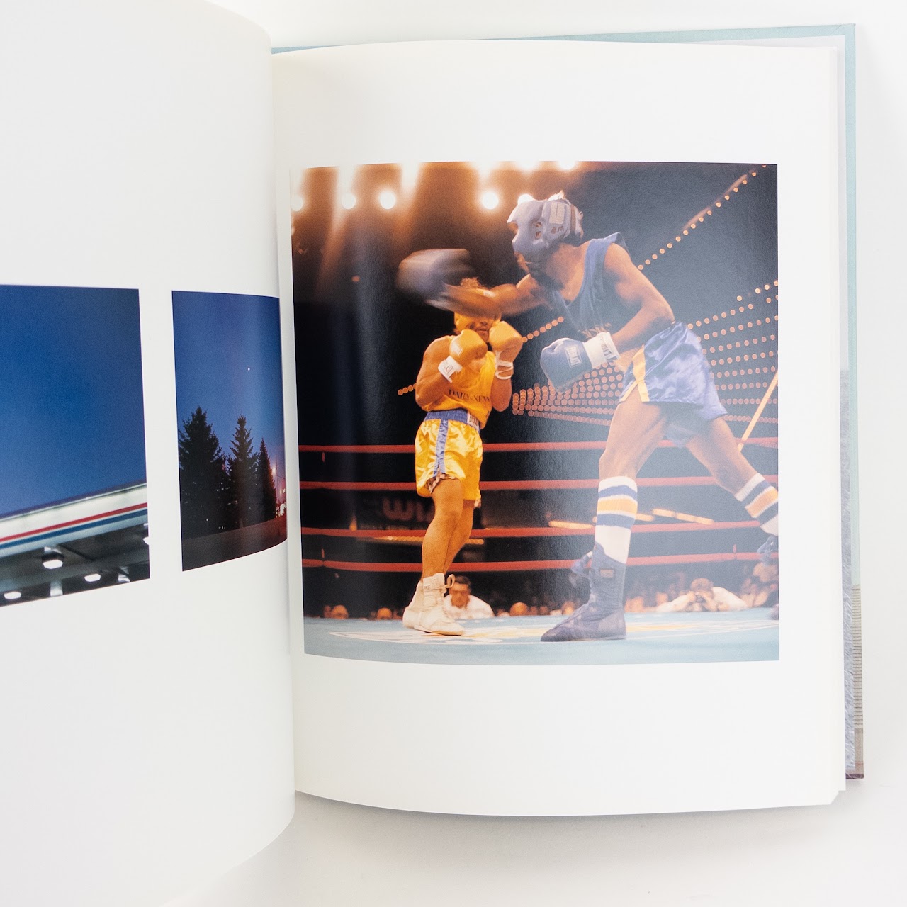 Jason Fulford, 'Sunbird' Photo Essay Hardcover