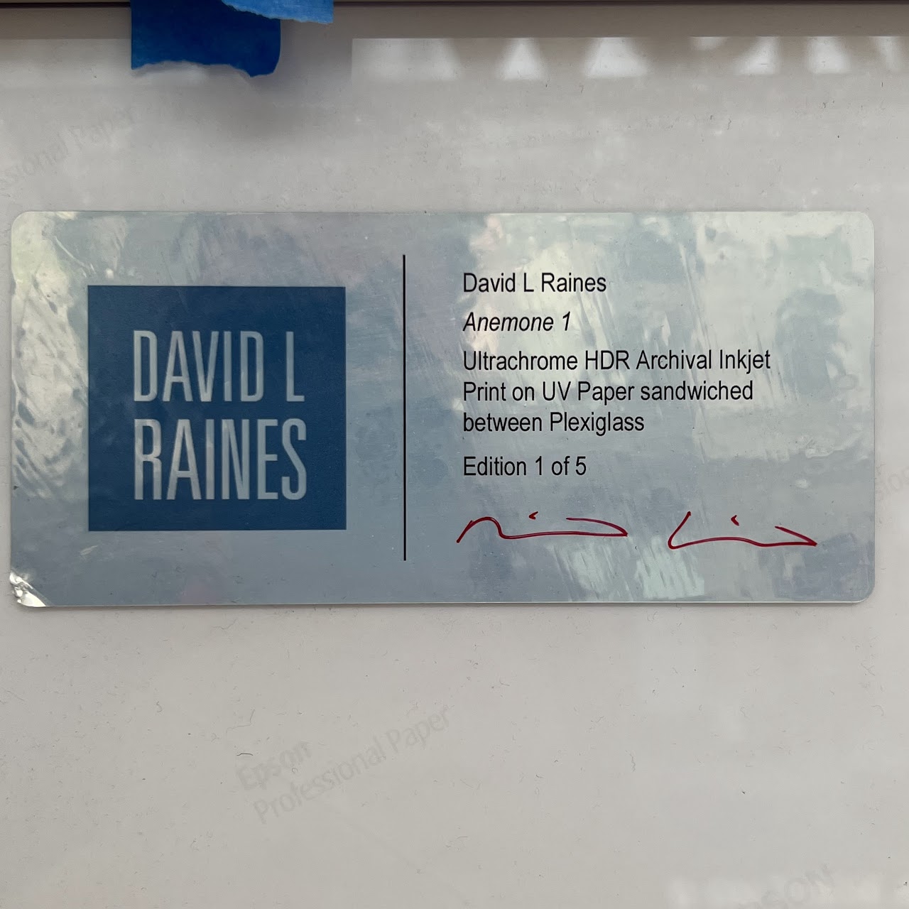David L Raines Signed 'Anemone I' Large Scale Photograph