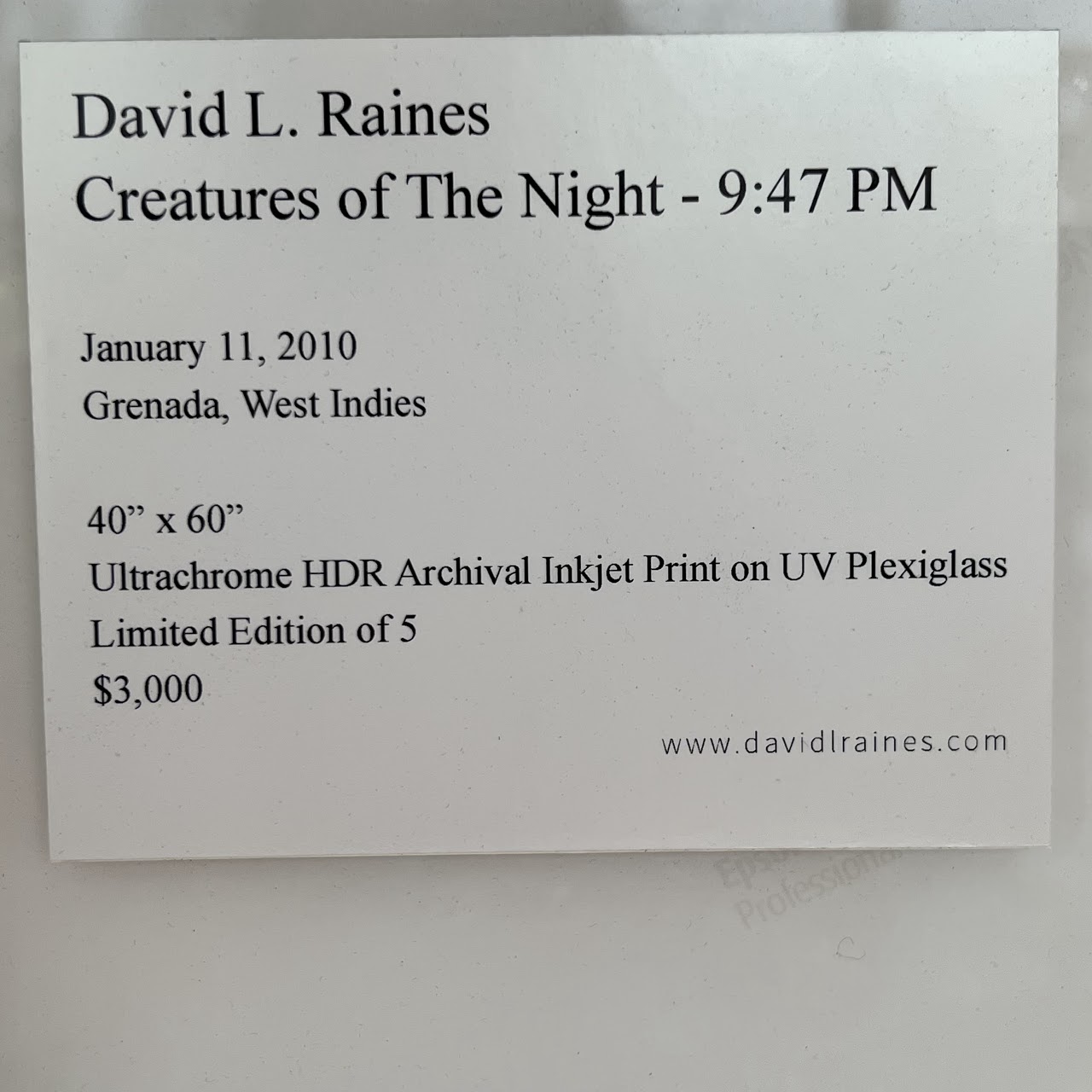 David L Raines Signed 'Anemone I' Large Scale Photograph