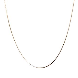 14K Gold Flat Chain Necklace