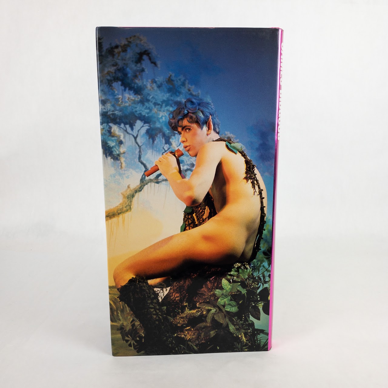 'James Bidgood 'Book NSFW