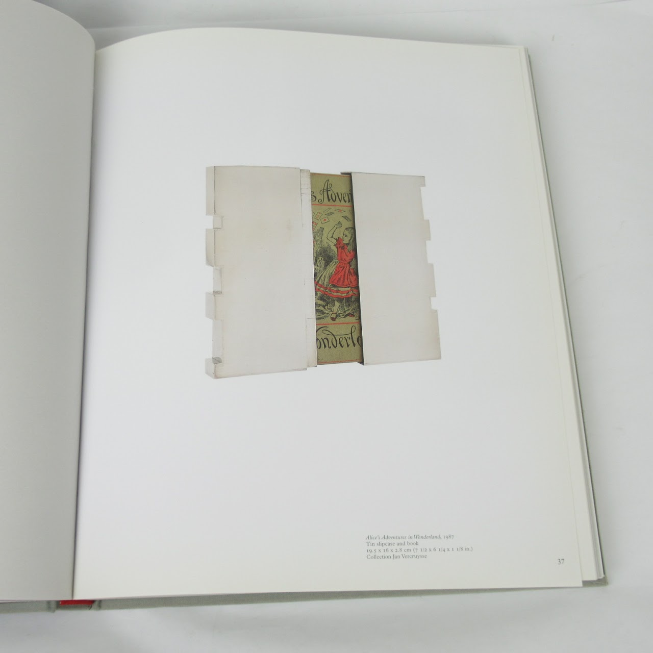 Rodney Graham: A Little Thought Curator Signed First Printing