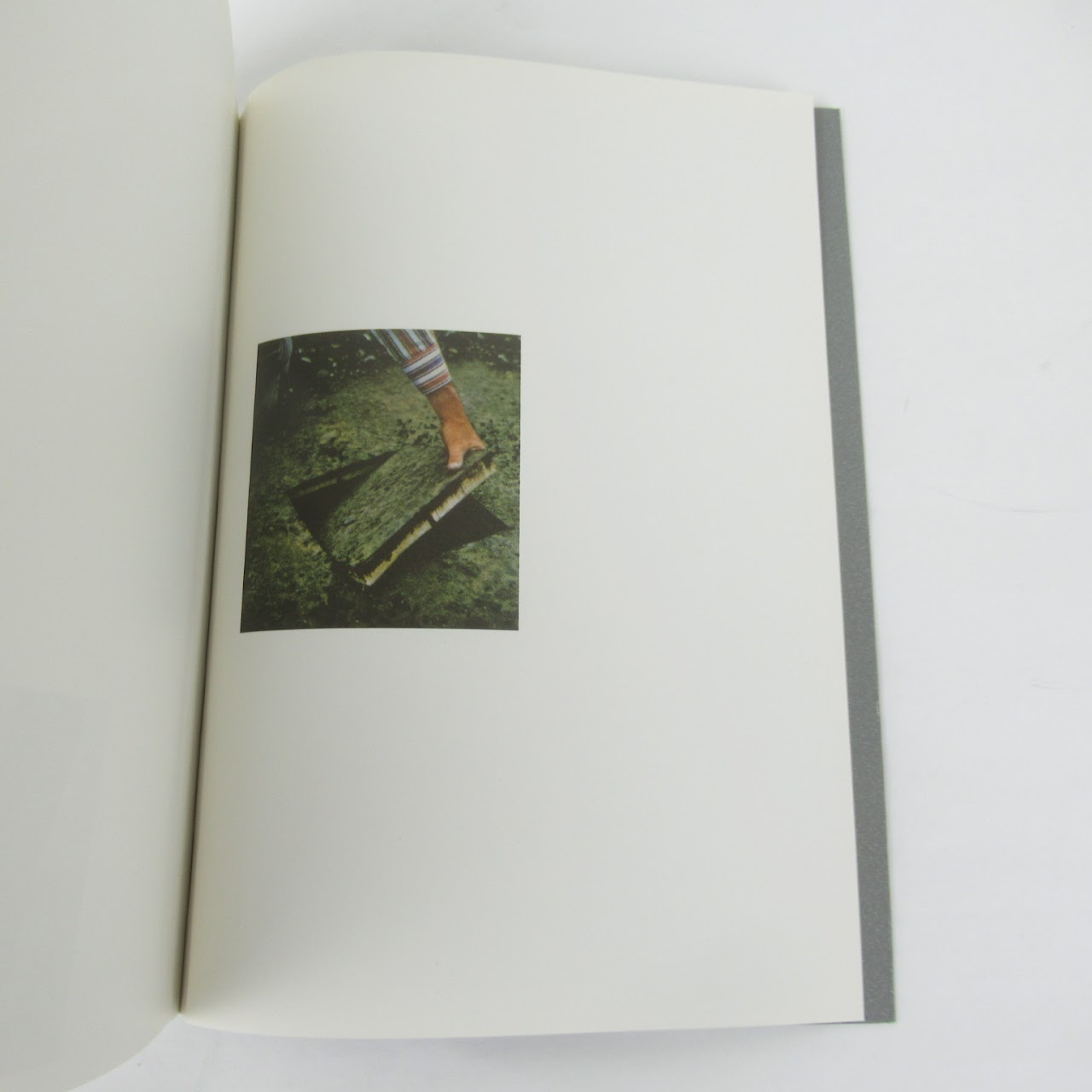 Ruth Van Beek: How To Do The Flowers Signed Copy