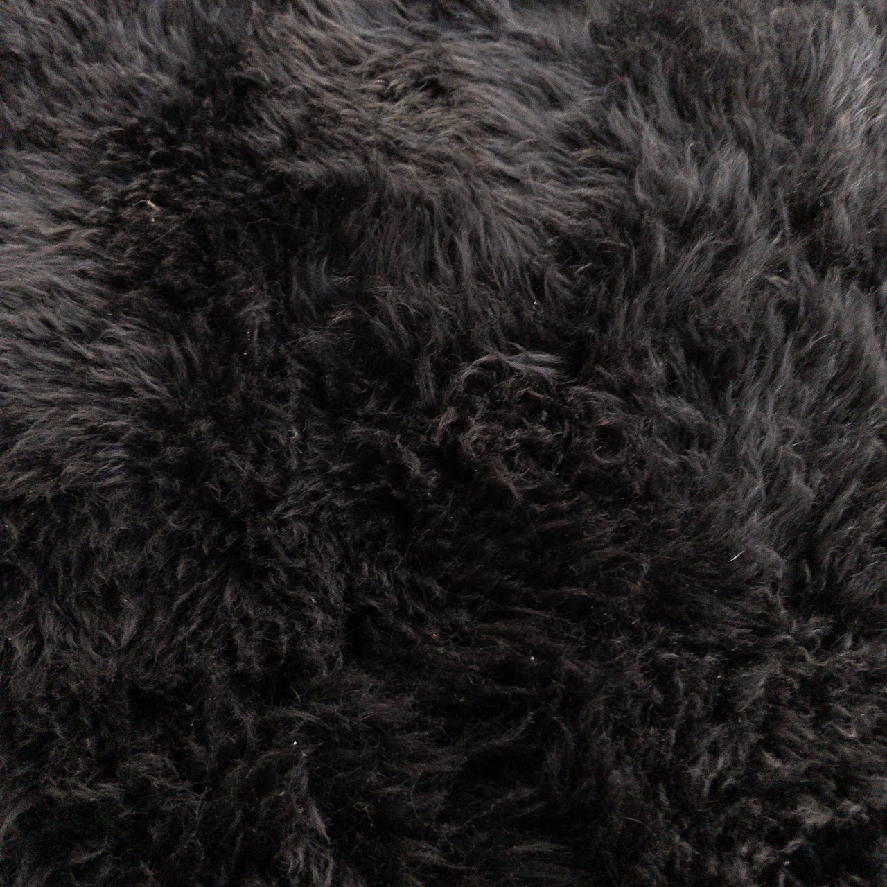 Natural Black Sheepskin Rug