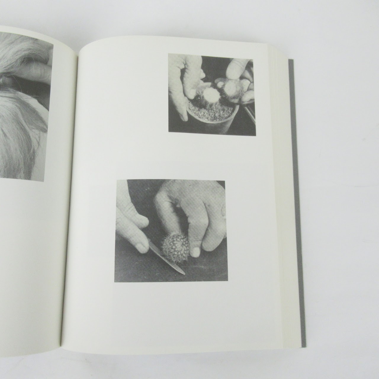 Ruth Van Beek: How To Do The Flowers Signed Copy