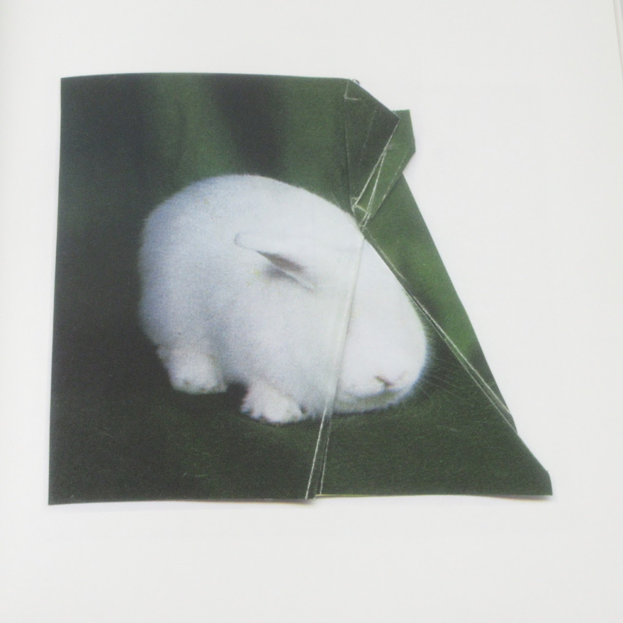 Ruth Van Beek: The Hibernators Photo Essay Book