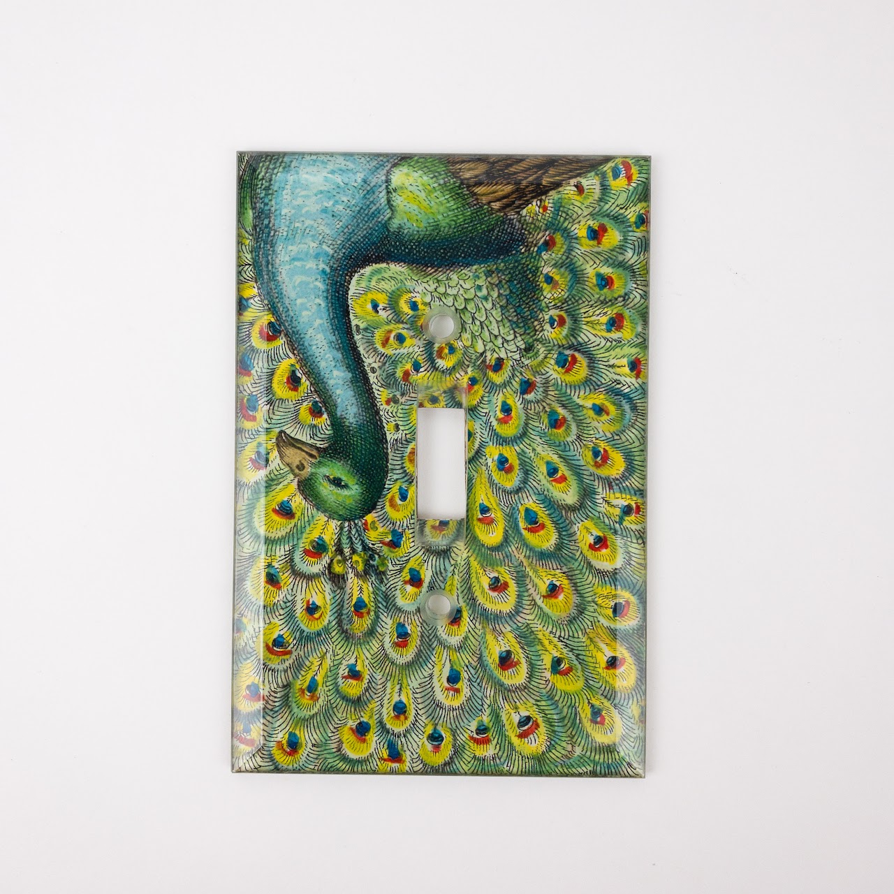 John Derian Signed Peacock Light Switch Cover