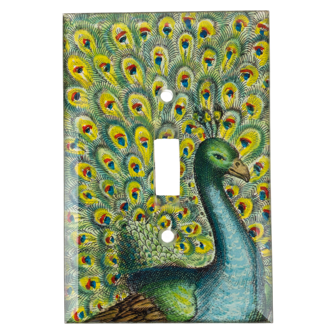 John Derian Signed Peacock Light Switch Cover