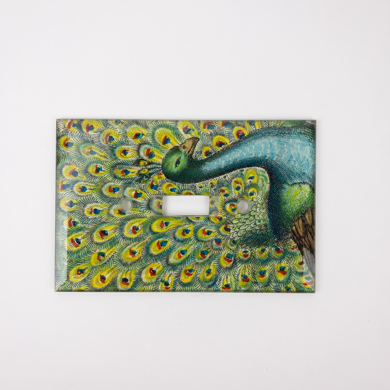 John Derian Signed Peacock Light Switch Cover