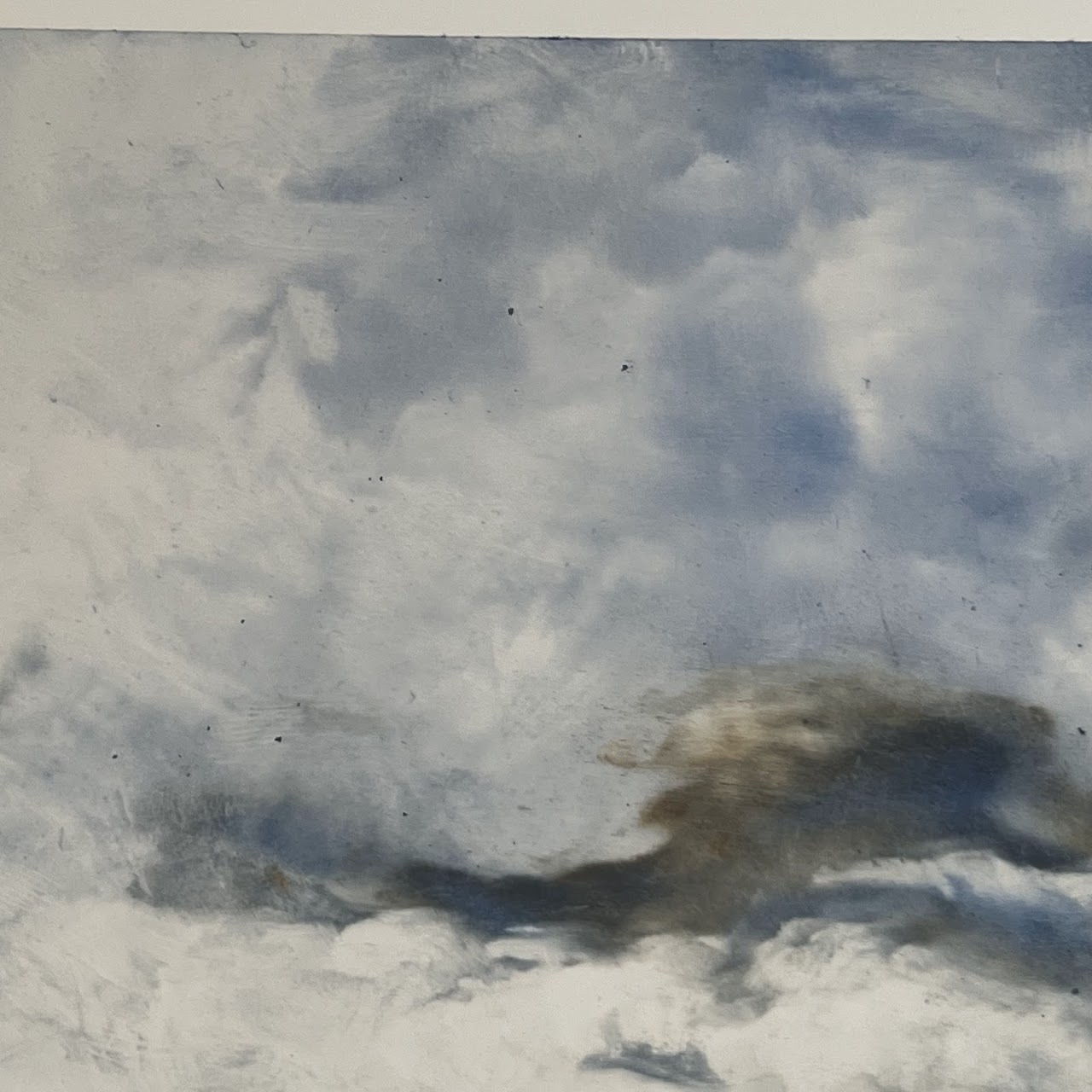 Leia Nichols Cloud Study Signed Print #2