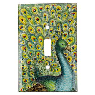 John Derian Signed Peacock Light Switch Cover