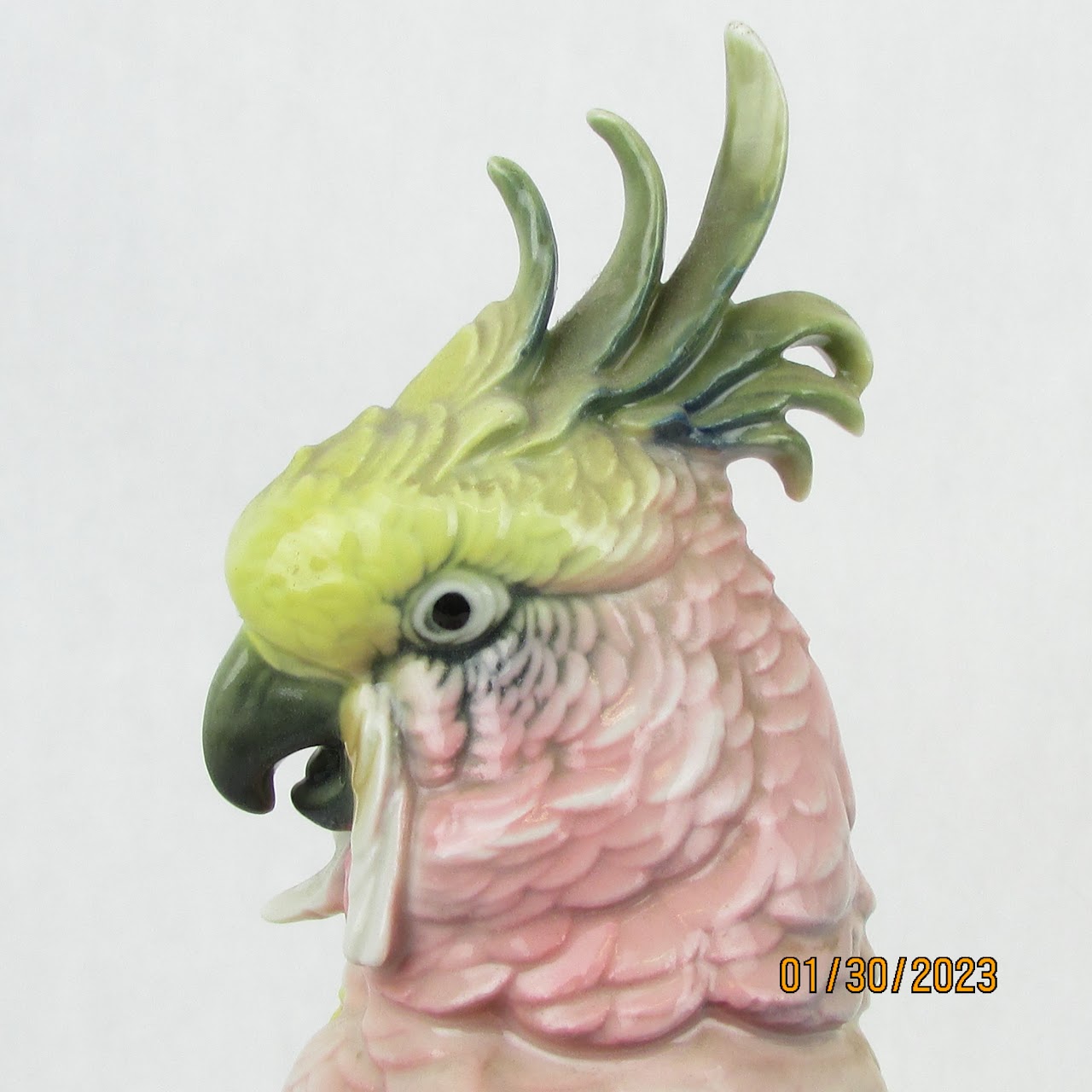 Karl Ens Volkstedt Vintage Porcelain Cockatoo Figurine