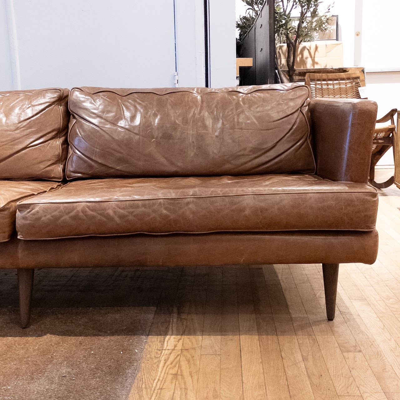 Joybird Leather Sofa