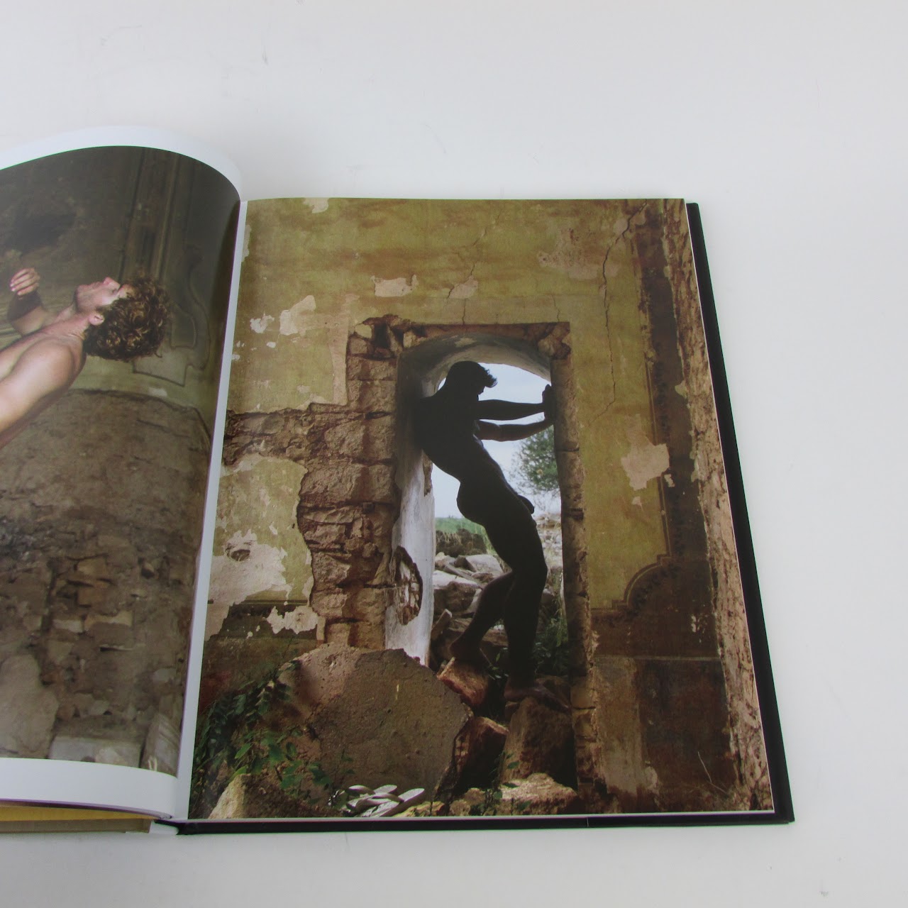 Paul Freeman 'Larrikin Yakka ' NSFW Book