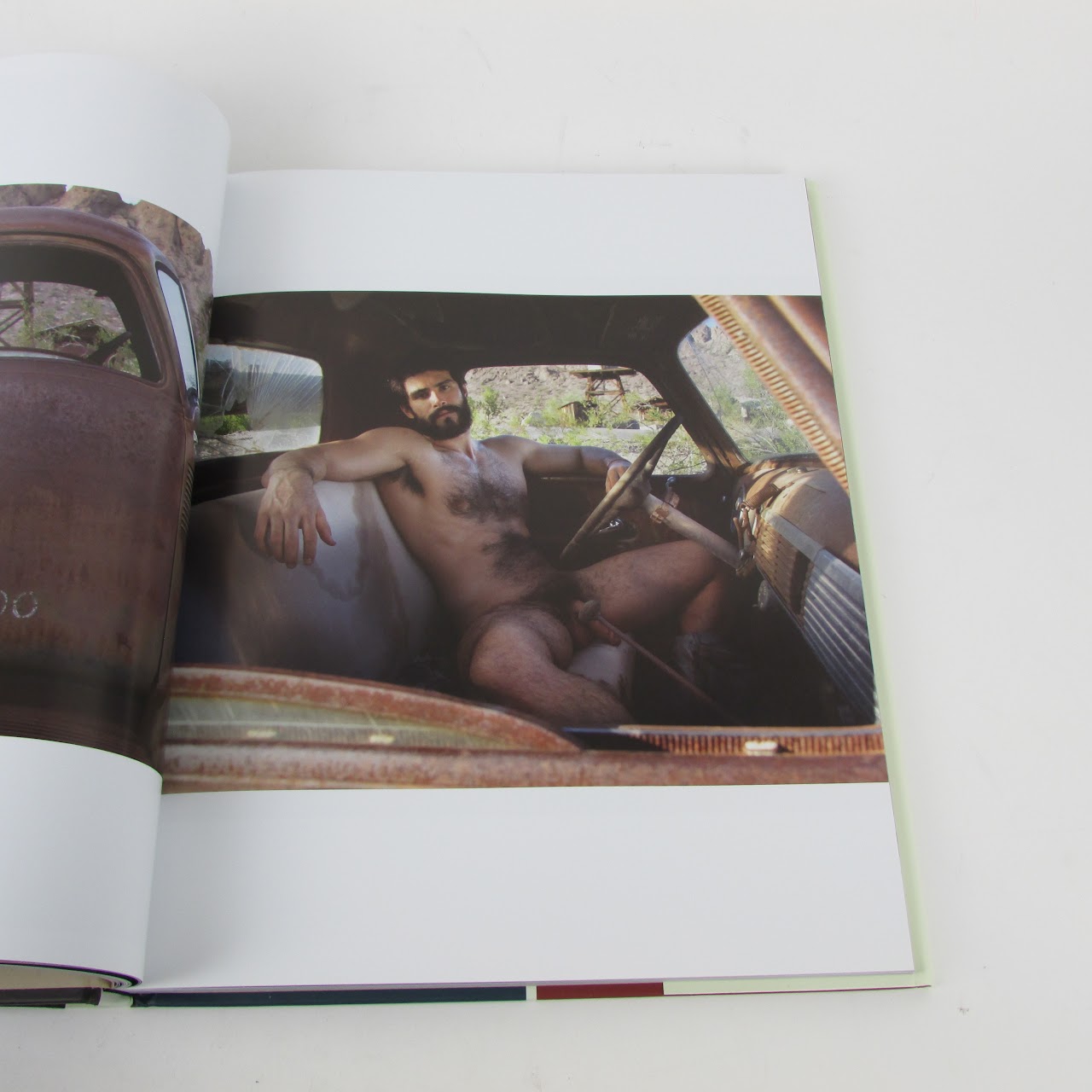 Paul Freeman 'Larrikin Americana ' NSFW Book