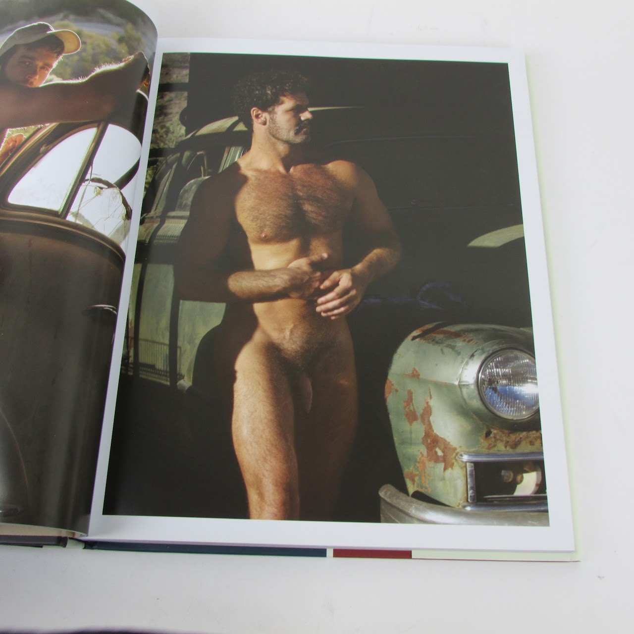 Paul Freeman 'Larrikin Americana ' NSFW Book