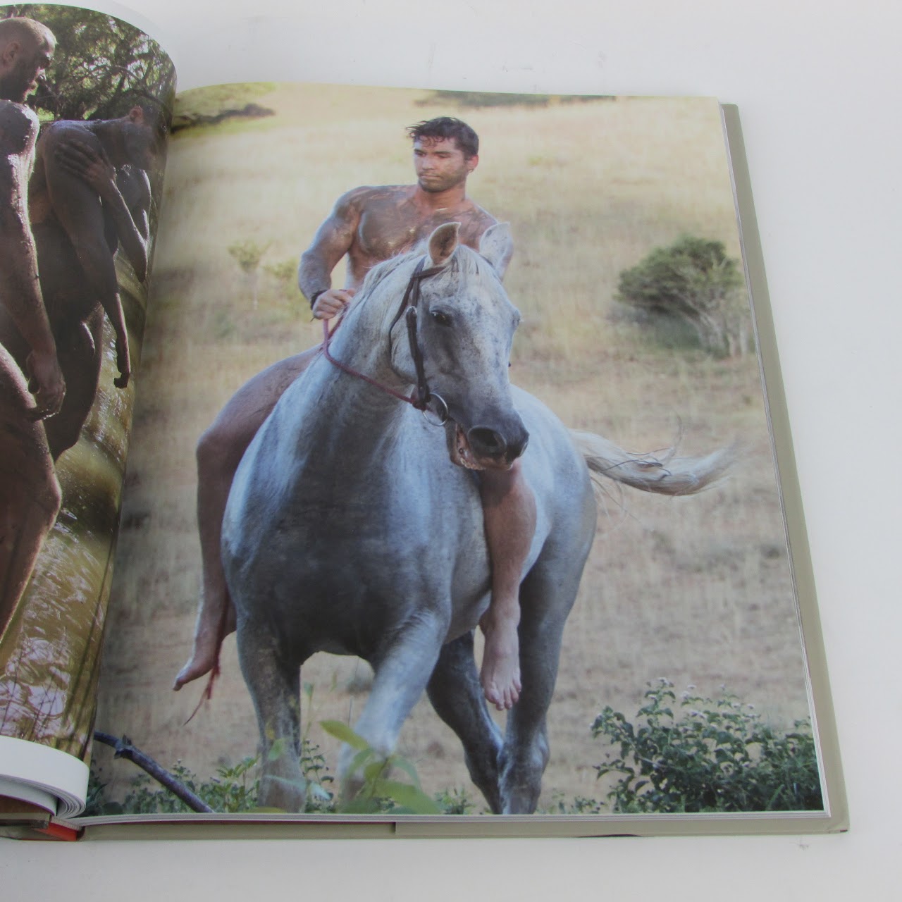 Paul Freeman 'Larrikin Ousiders ' NSFW Book