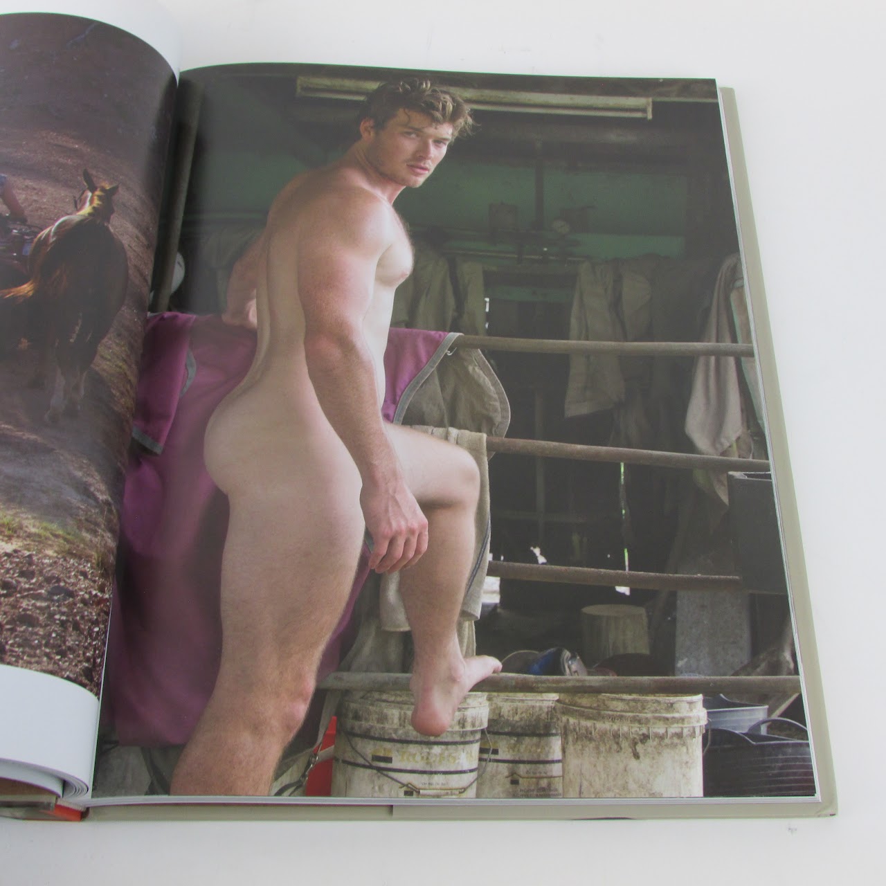 Paul Freeman 'Larrikin Ousiders ' NSFW Book